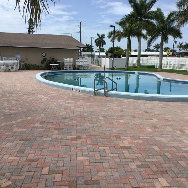 Swimming Pool in Naples, Florida